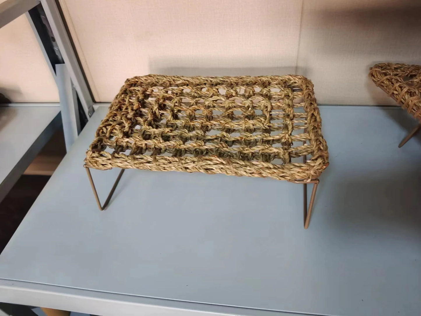 Woven Lizard Bed and Grass Mat for Pets