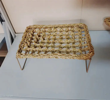 Woven Lizard Bed and Grass Mat for Pets