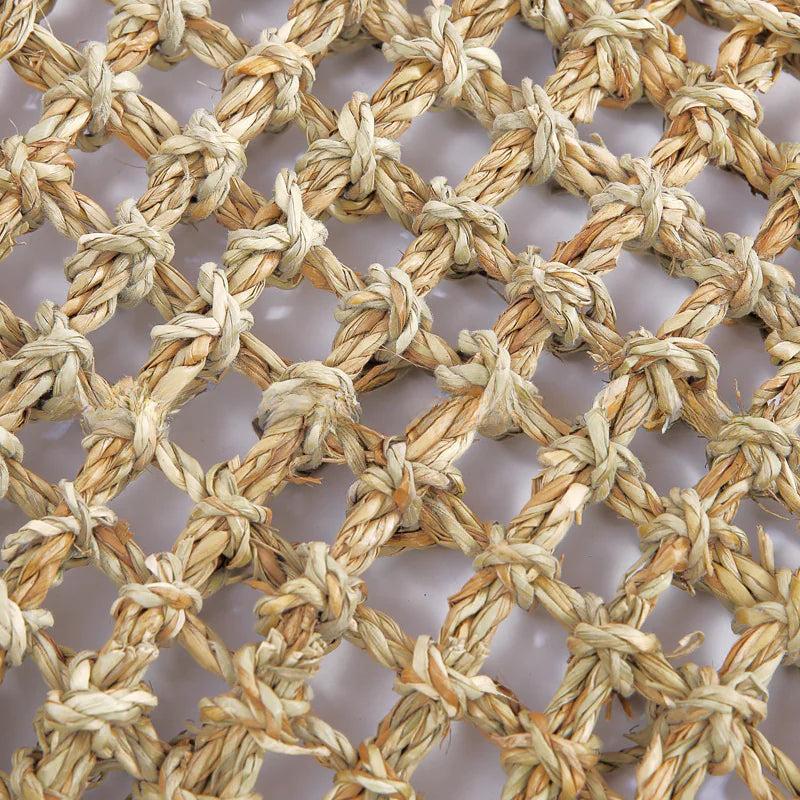 Woven Lizard Bed and Grass Mat for Pets